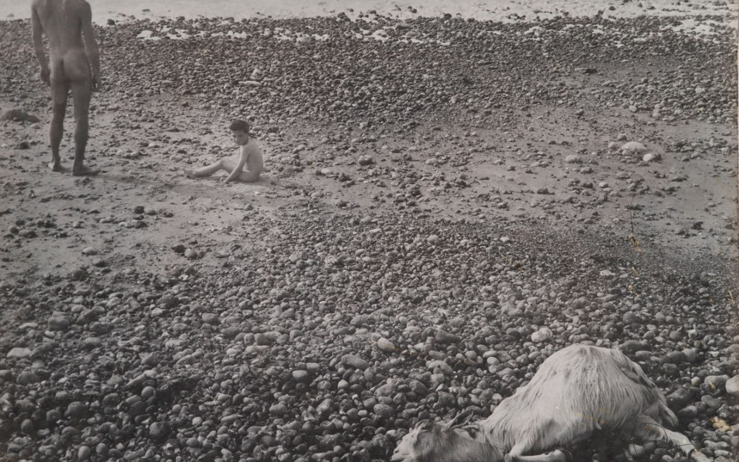 ‘’Uma imagem está ali, é tudo’’: Ulysse, de Agnès Varda